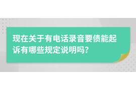 无为为什么选择专业追讨公司来处理您的债务纠纷？